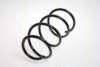 TRISCAN 8750 13114 Coil Spring